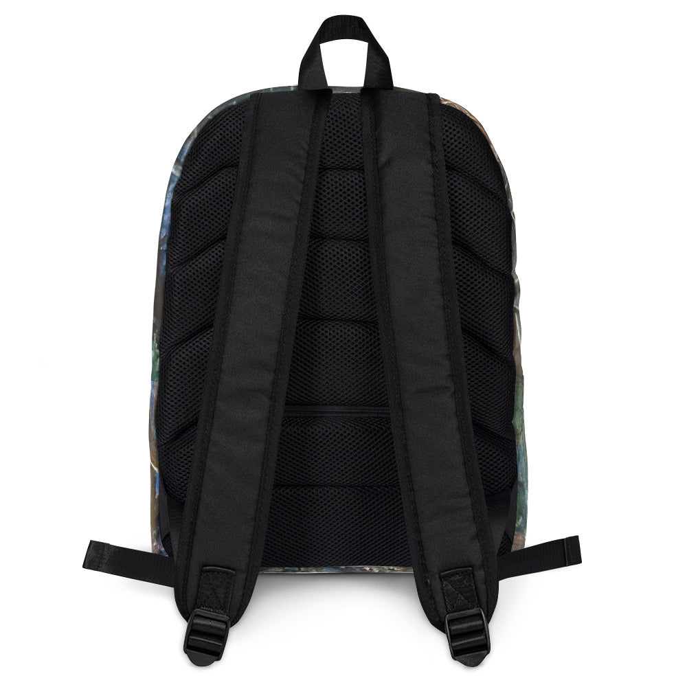 Art Print Backpack