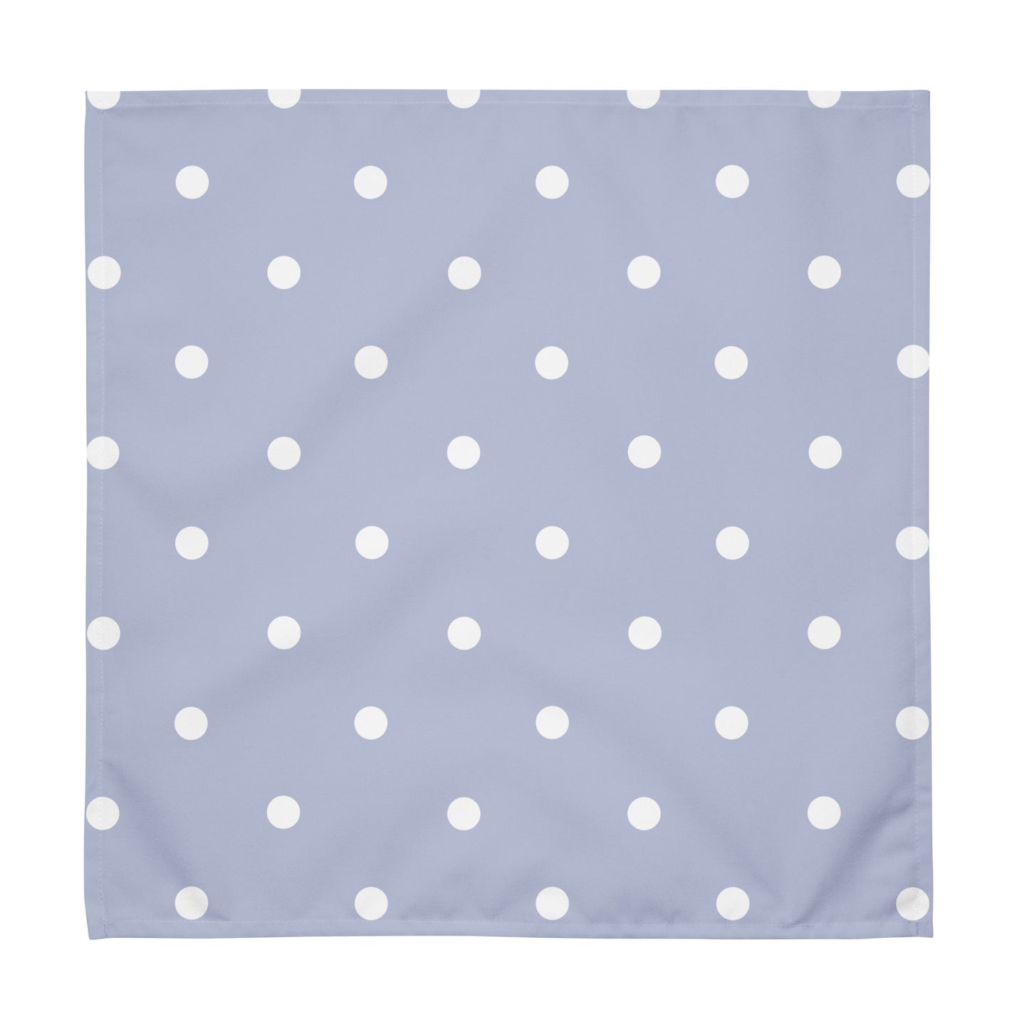 Polka Dot Cloth Napkin Set