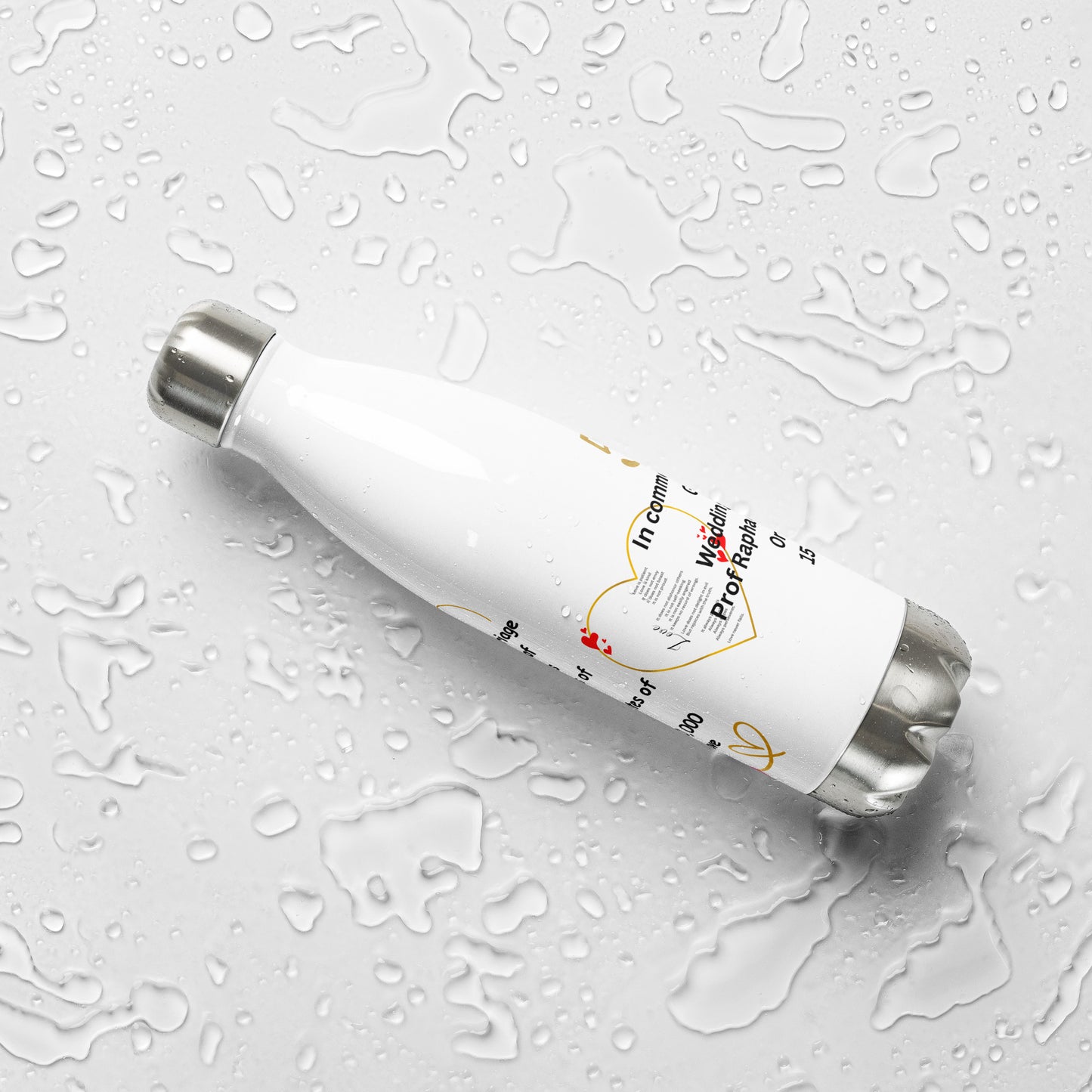 Prof 2 Stainless steel water bottle