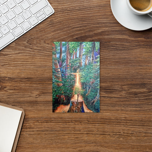 Lush Tropical Rain Forest Postcard