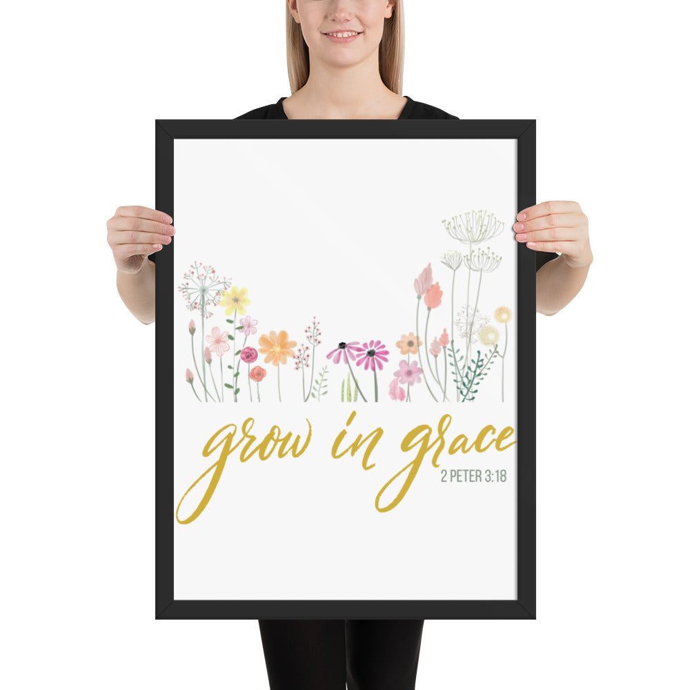 Grow In Grace Framed poster 2 Peter 3:18