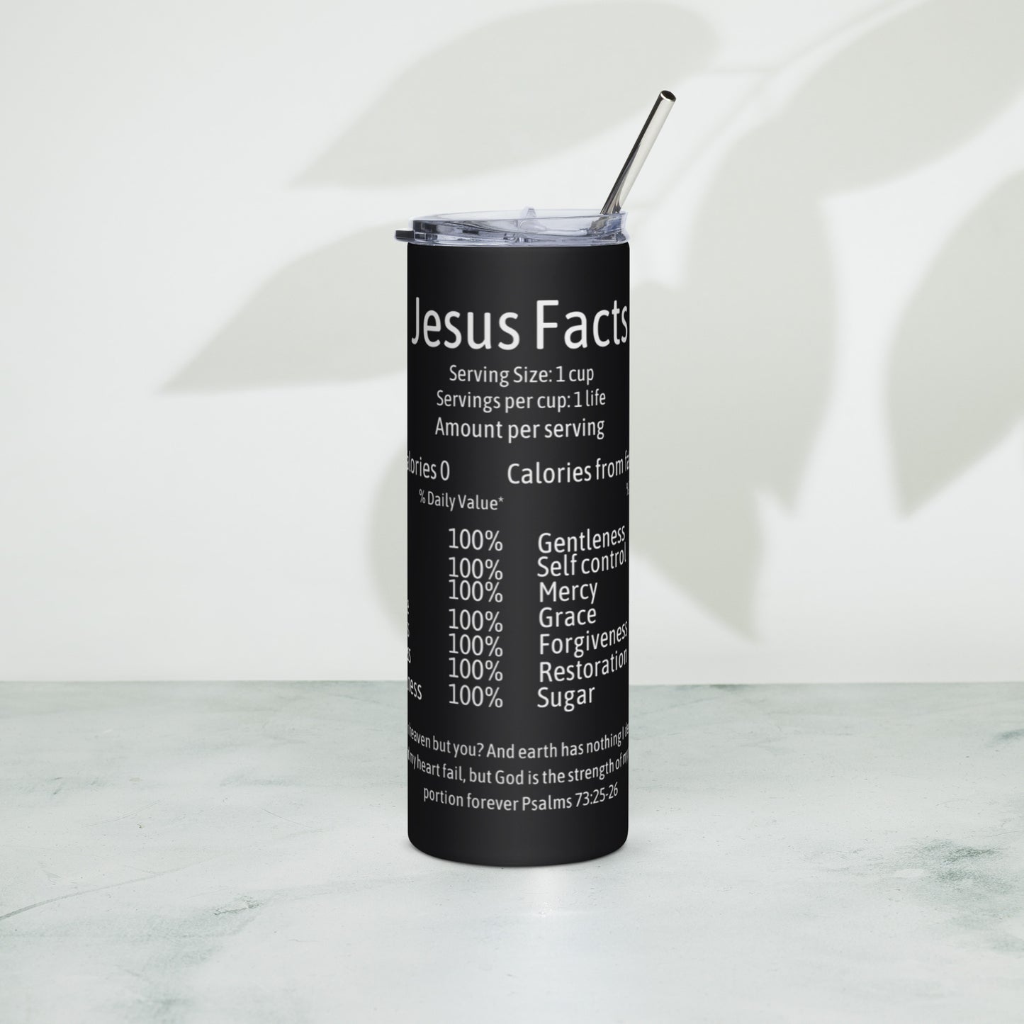 Jesus Facts Stainless Steel Tumbler