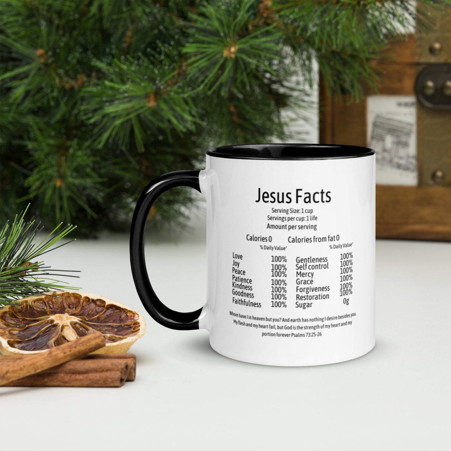 Jesus Facts Mug with Color Inside