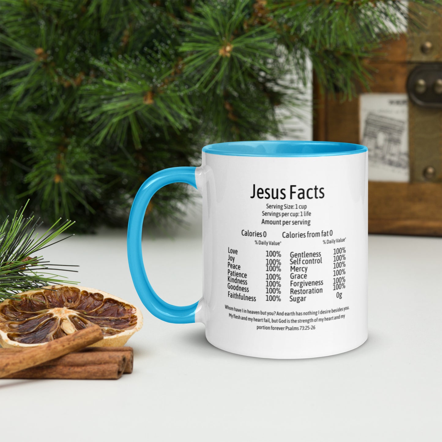 Jesus Facts Mug with Color Inside