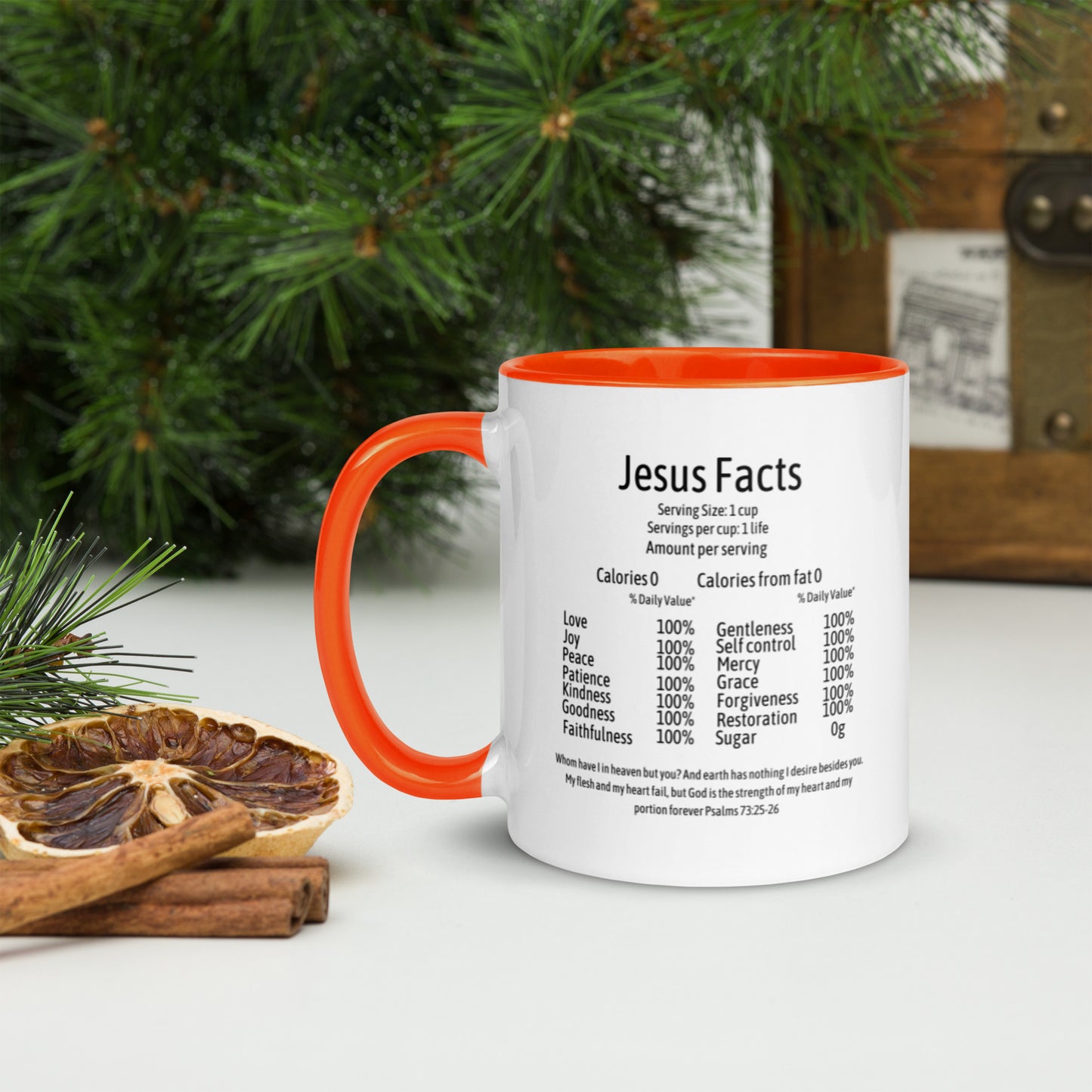 Jesus Facts Mug with Color Inside