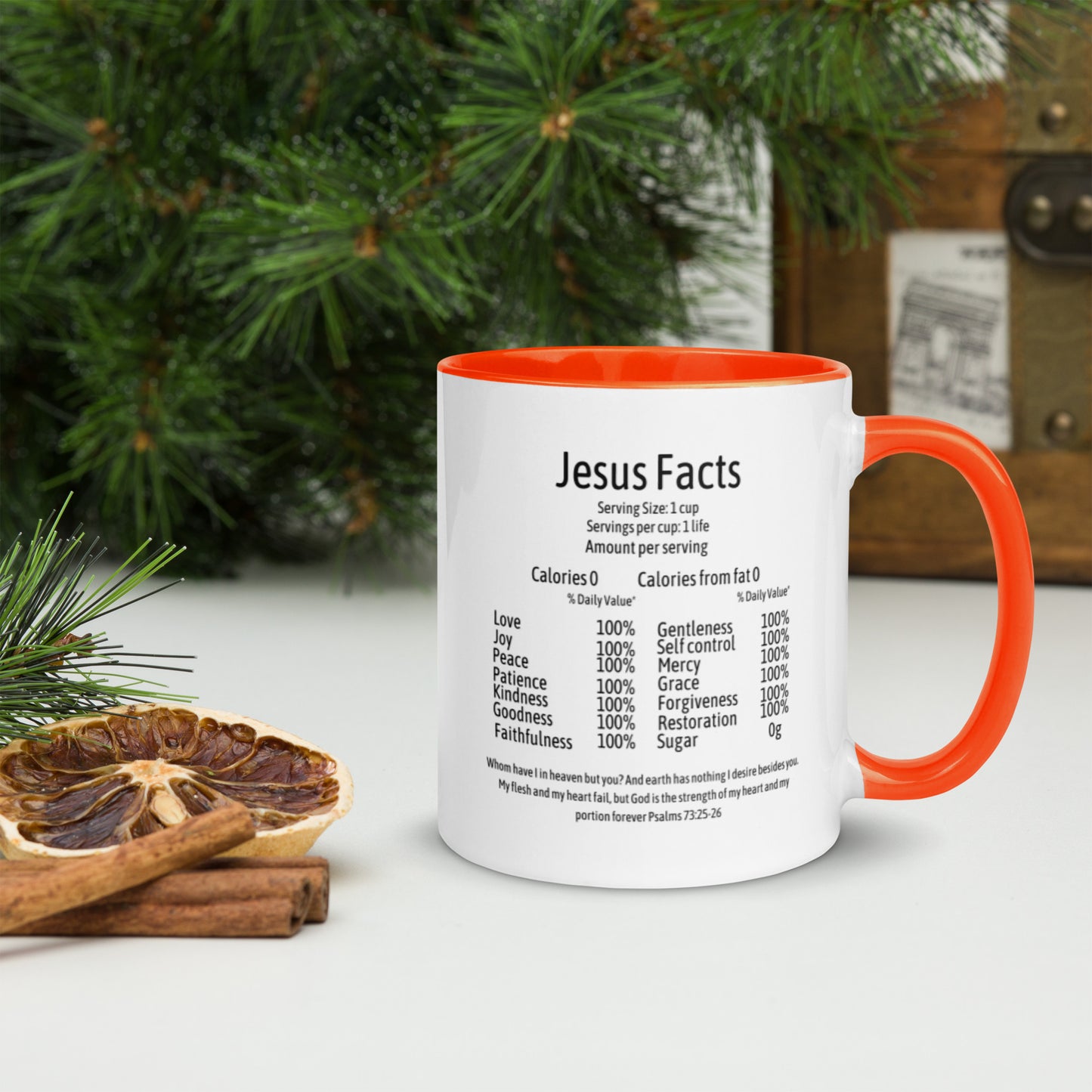 Jesus Facts Mug with Color Inside