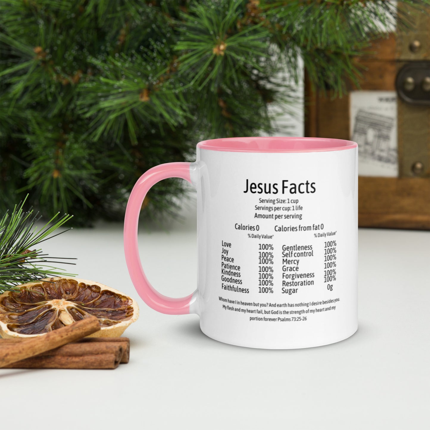 Jesus Facts Mug with Color Inside