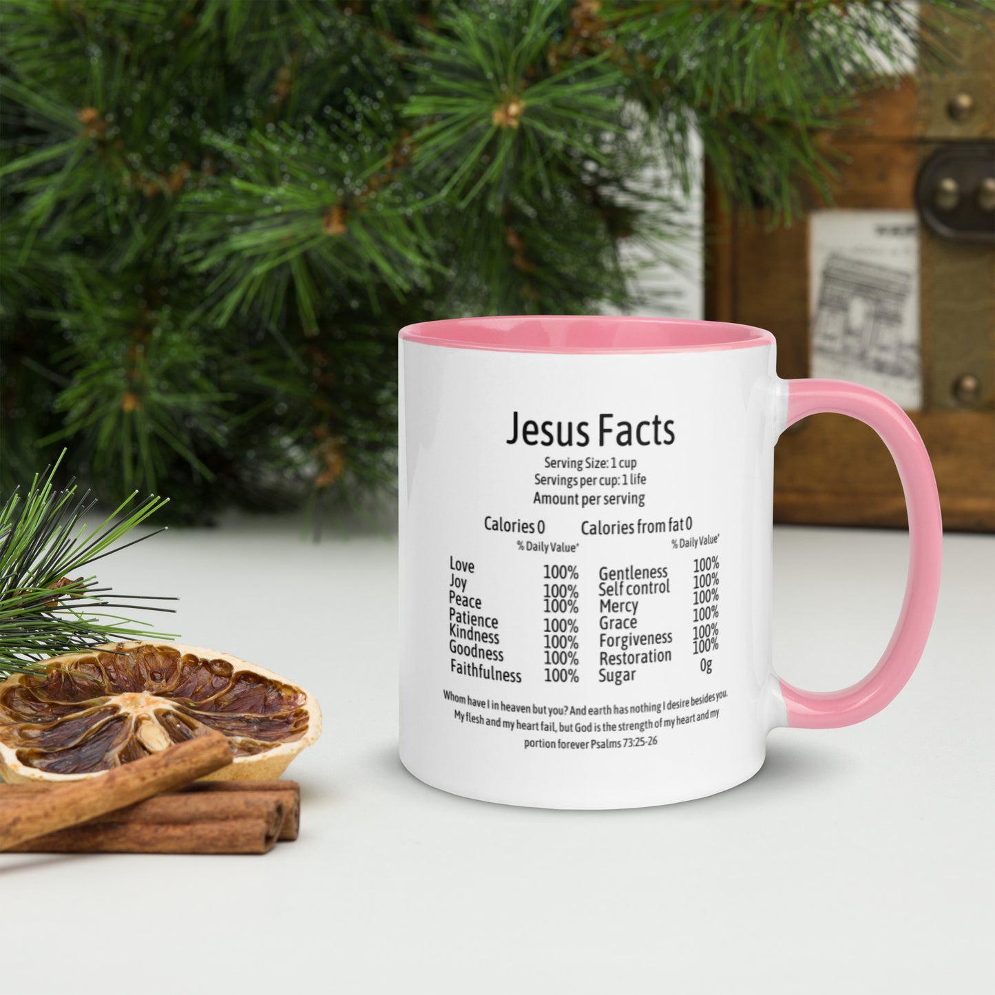 Jesus Facts Mug with Color Inside