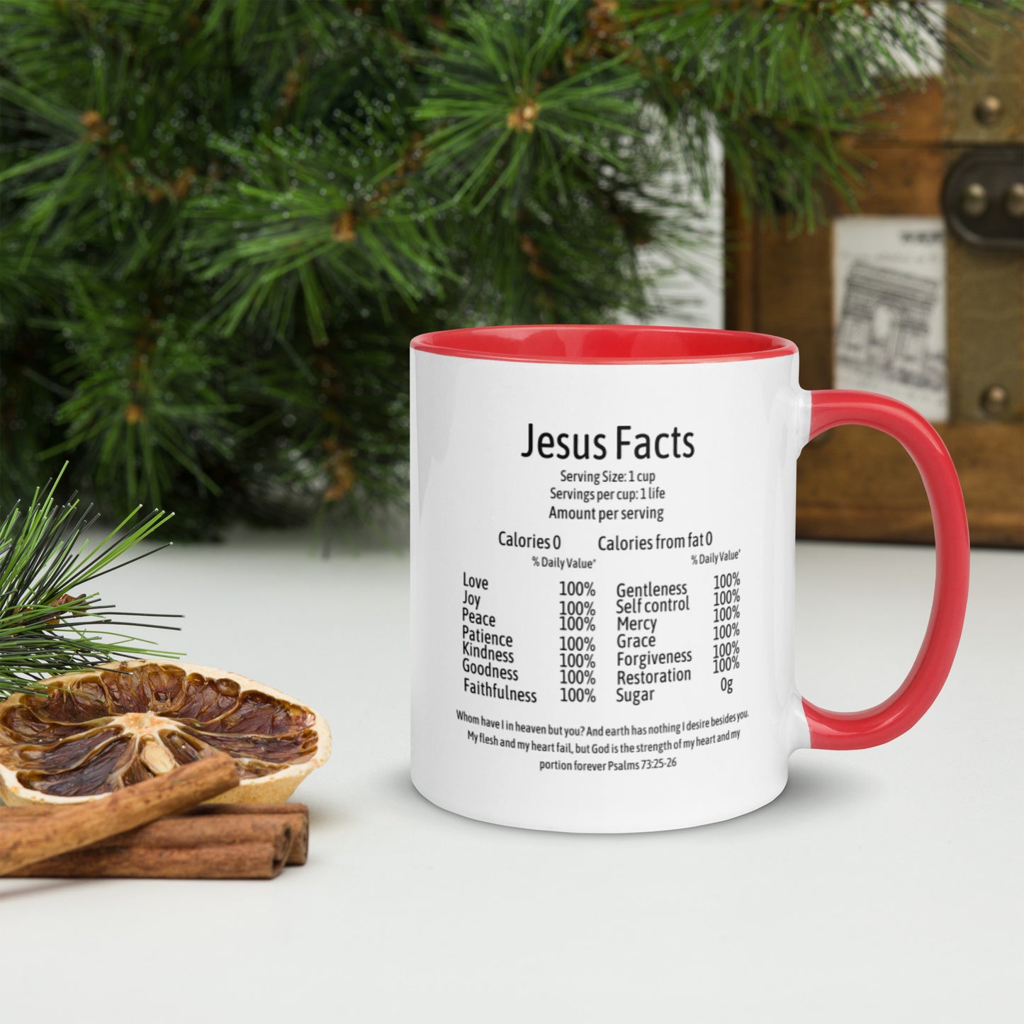 Jesus Facts Mug with Color Inside
