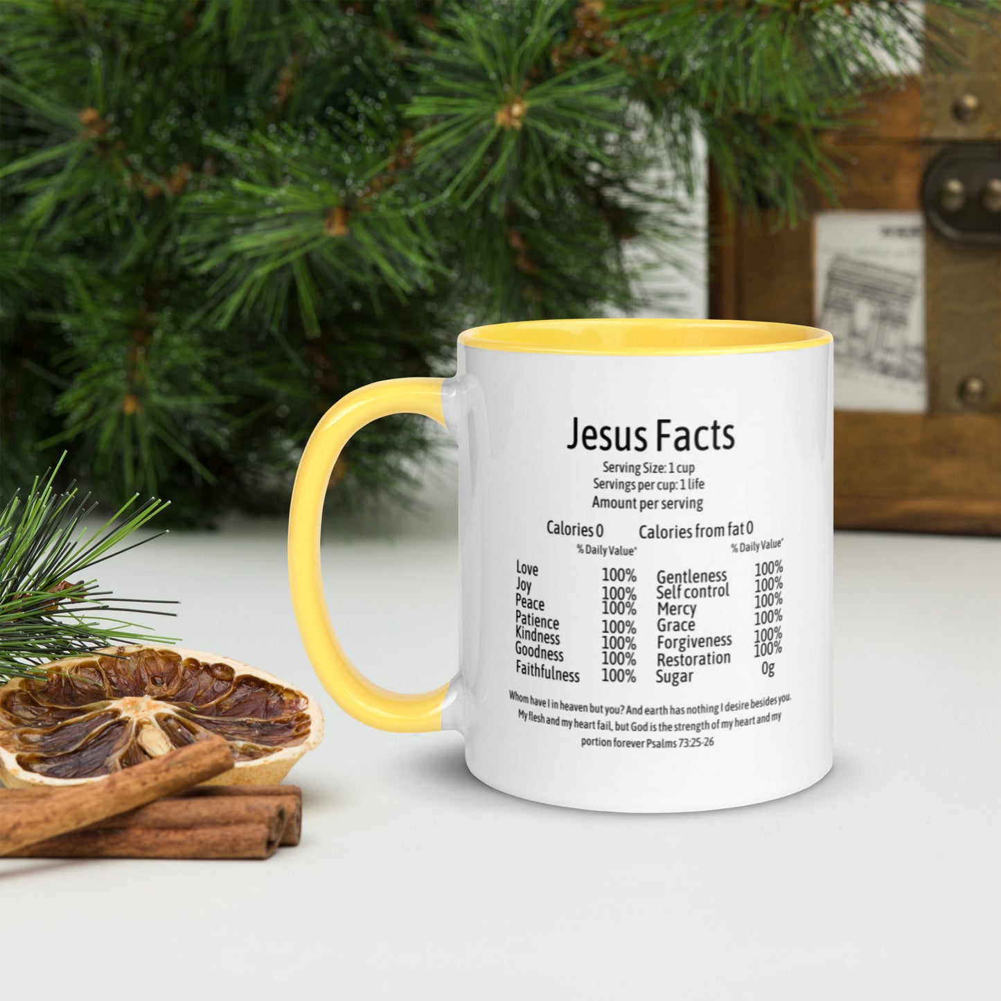 Jesus Facts Mug with Color Inside