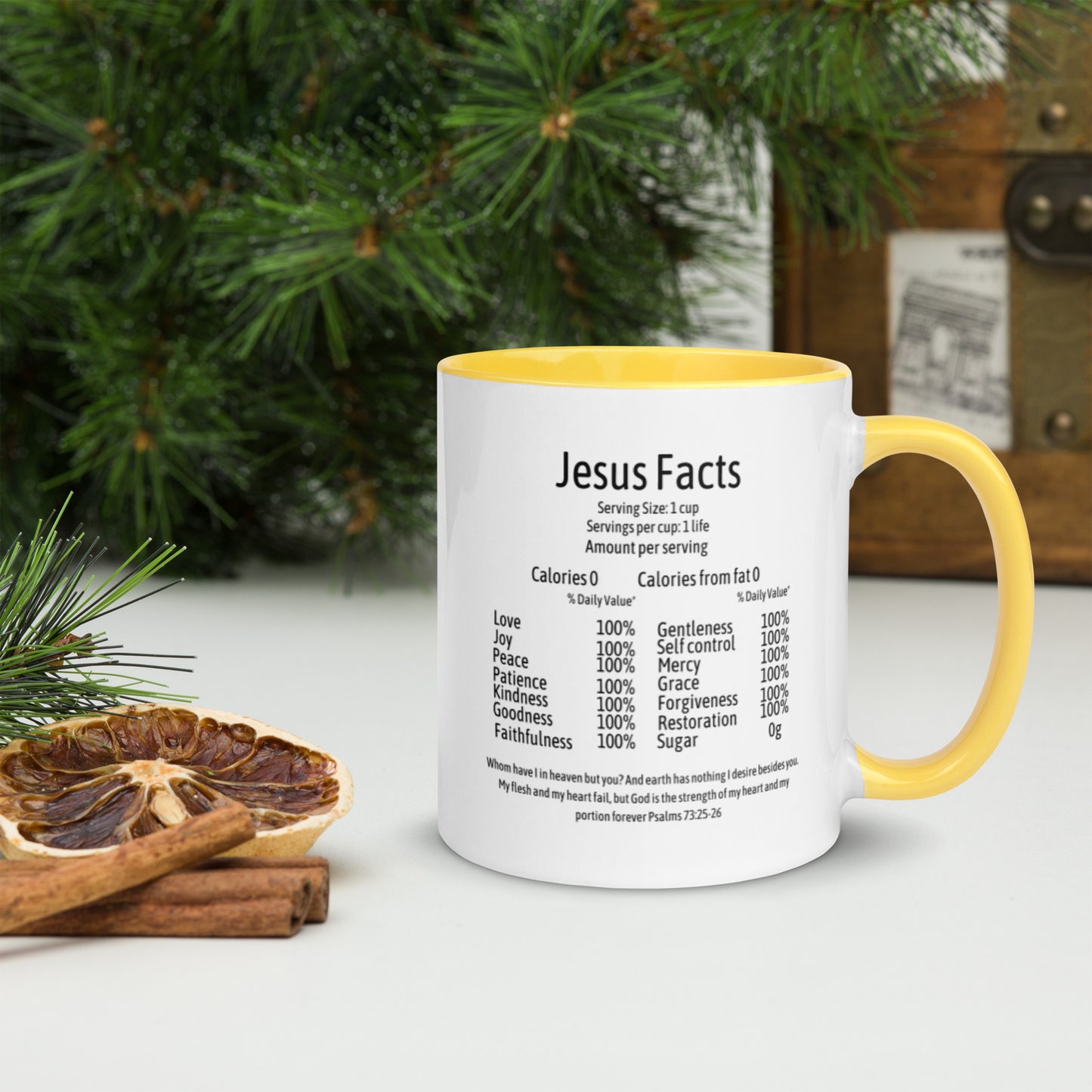 Jesus Facts Mug with Color Inside