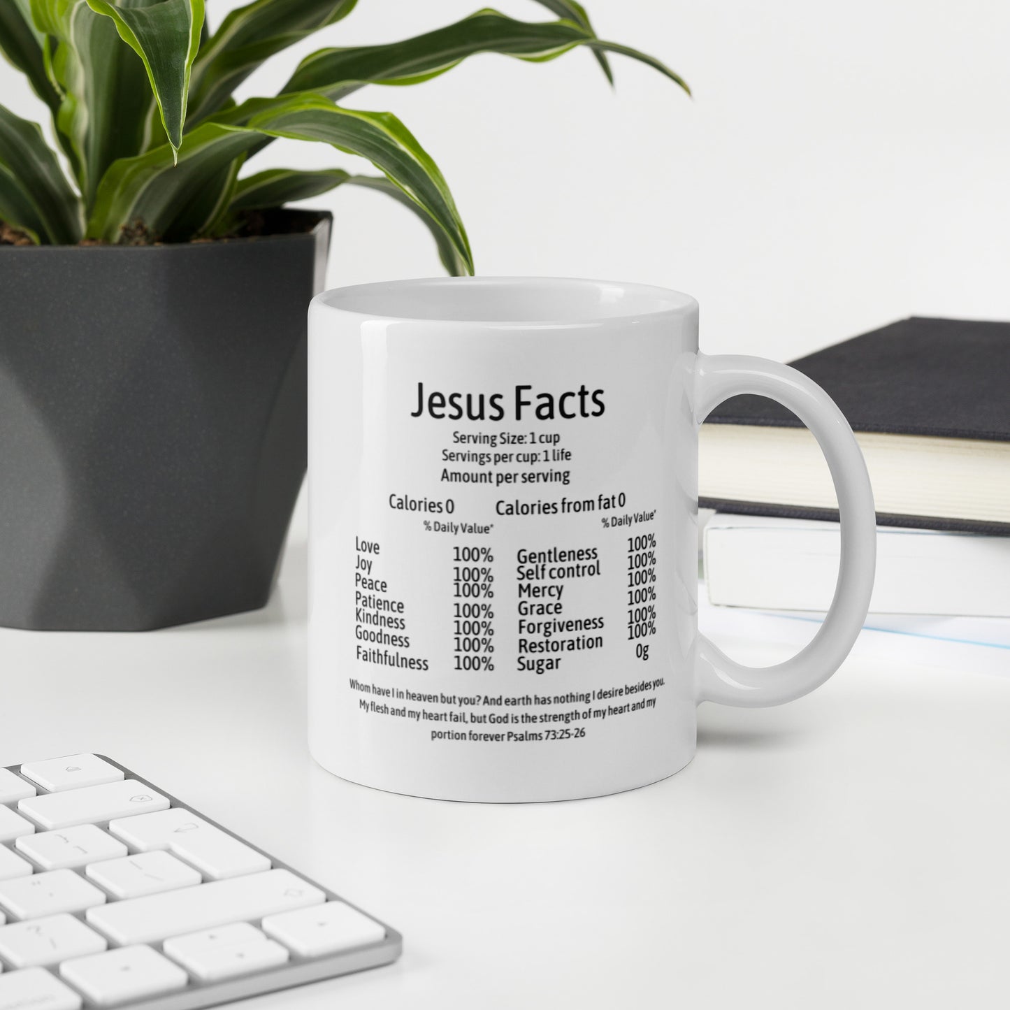 Jesus Facts White Mug