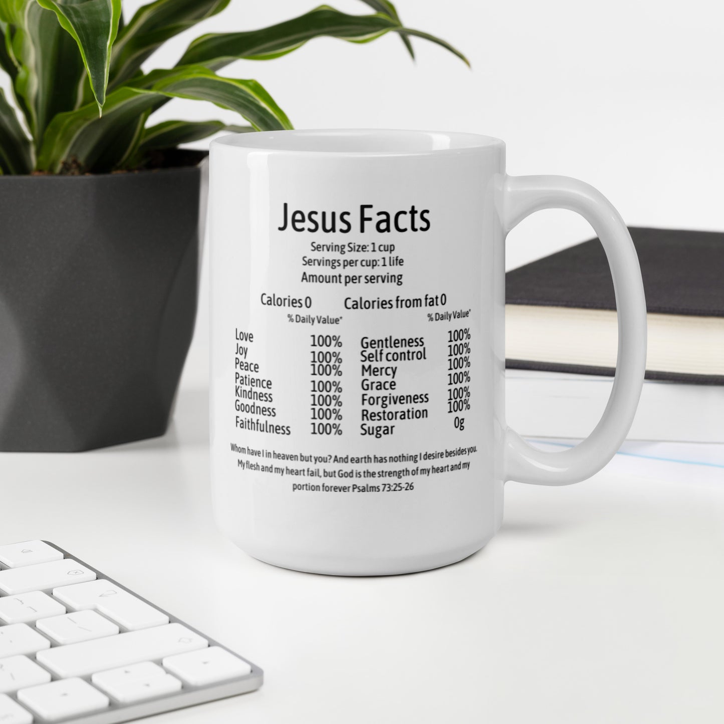 Jesus Facts White Mug